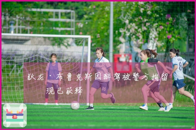 狄龙·布鲁克斯因醉驾被警方拘留，现已获释