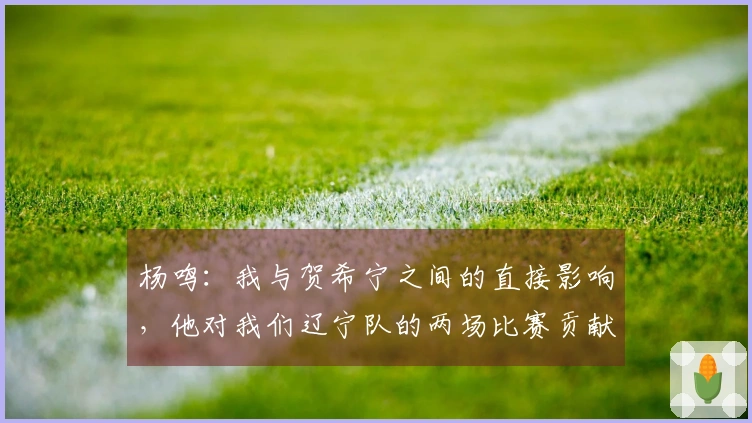 杨鸣：我与贺希宁之间的直接影响，他对我们辽宁队的两场比赛贡献了61分