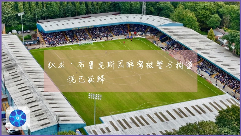 狄龙·布鲁克斯因醉驾被警方拘留，现已获释